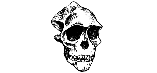 Тигр снегов. Неприкосновенная Канченджанга - i_044.png