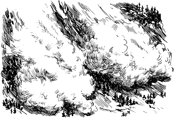 Тигр снегов. Неприкосновенная Канченджанга - i_046.png