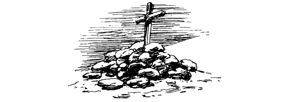 Тигр снегов. Неприкосновенная Канченджанга - i_047.png