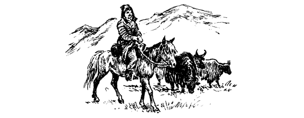 Тигр снегов. Неприкосновенная Канченджанга - i_049.png