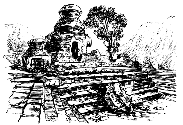 Тигр снегов. Неприкосновенная Канченджанга - i_050.png