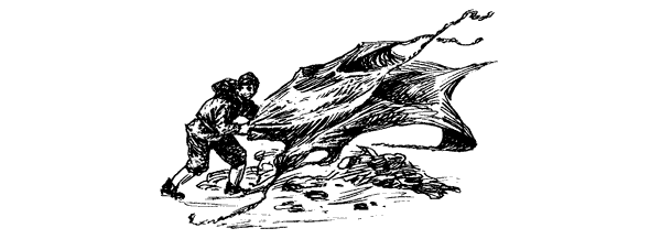 Тигр снегов. Неприкосновенная Канченджанга - i_051.png