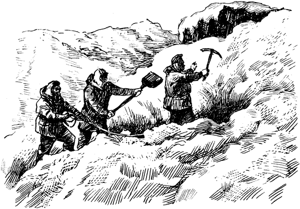 Тигр снегов. Неприкосновенная Канченджанга - i_054.png