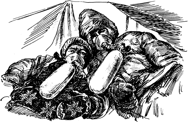 Тигр снегов. Неприкосновенная Канченджанга - i_062.png