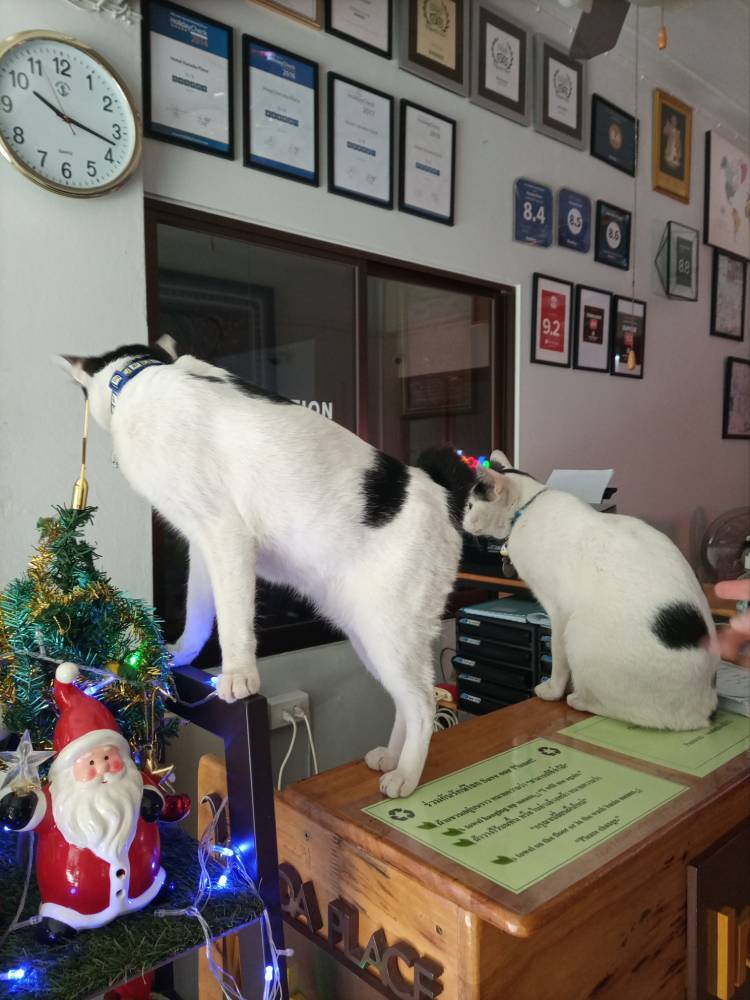 Образ Азии - _6.jpg