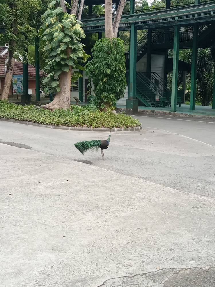 Образ Азии - _8.jpg