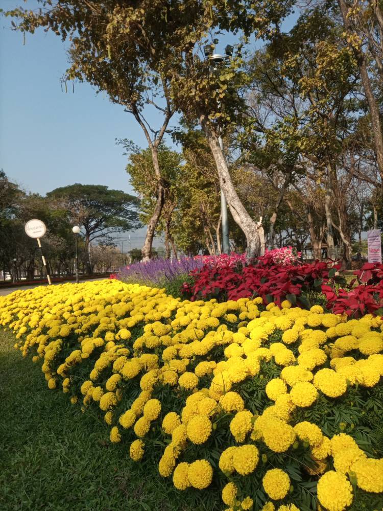 Образ Азии - _9.jpg