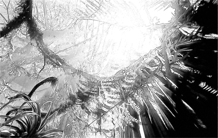 Отраженные сумерки - _1.jpg