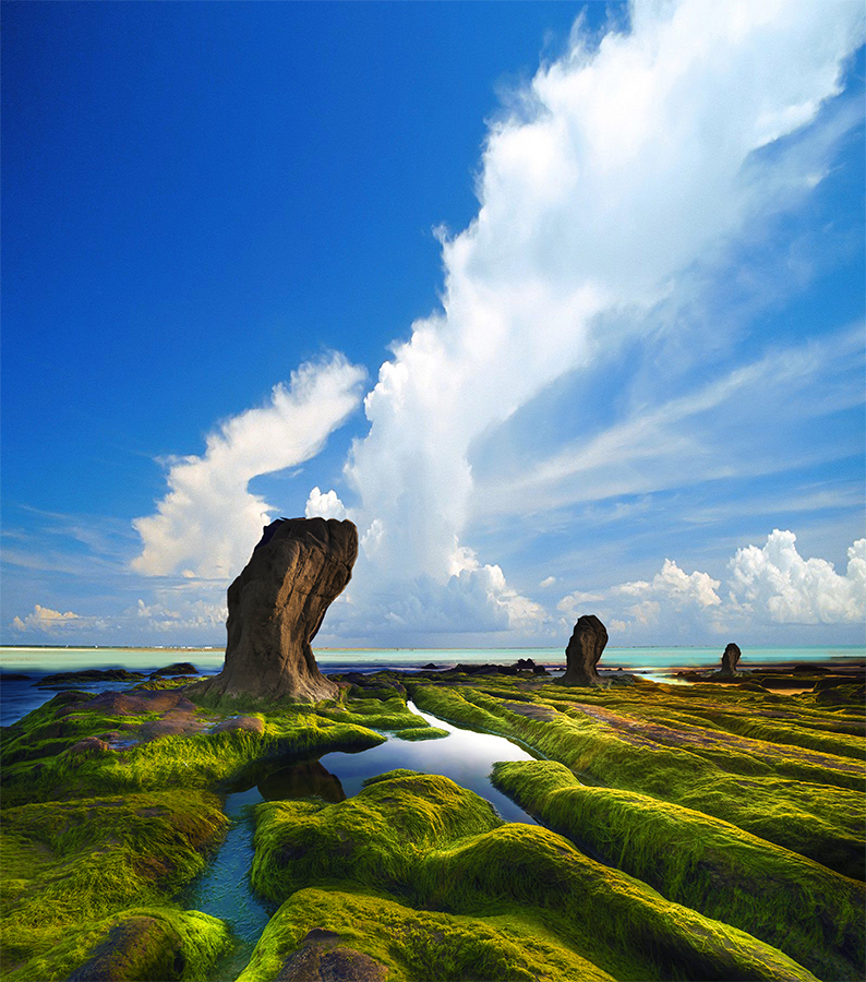 Пролегомены эволюции - _2.jpg