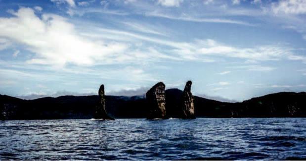 Годы. Мили. Судьбы - _88.jpg