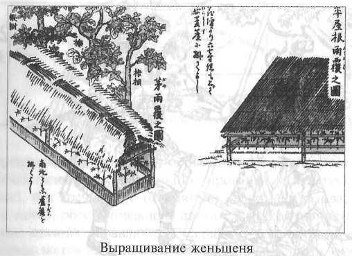 Стать японцем - image27.jpg