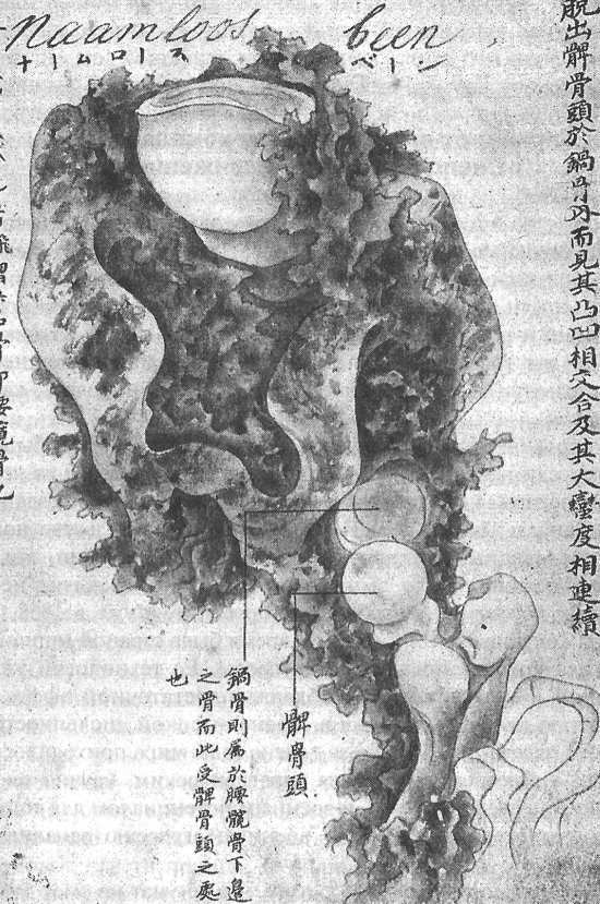 Стать японцем - image40.jpg