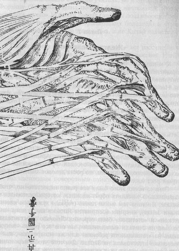 Стать японцем - image82.jpg