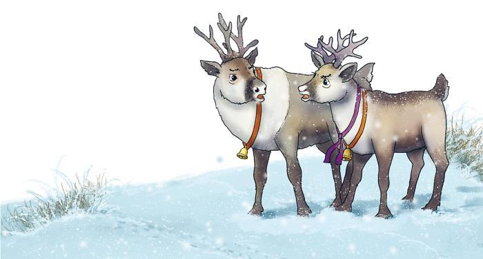 Пони Колокольчик. Спасение Нового года - i_012.jpg