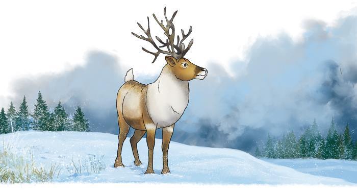 Пони Колокольчик. Спасение Нового года - i_014.jpg