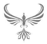 Избранный светом. Песни хищных птиц - i_001.png