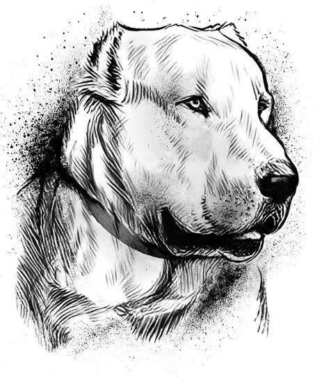 Приключения Уэнсдей в России - i_006.jpg