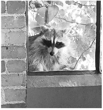 Если бы стены могли говорить… Моя жизнь в архитектуре - i_009.jpg