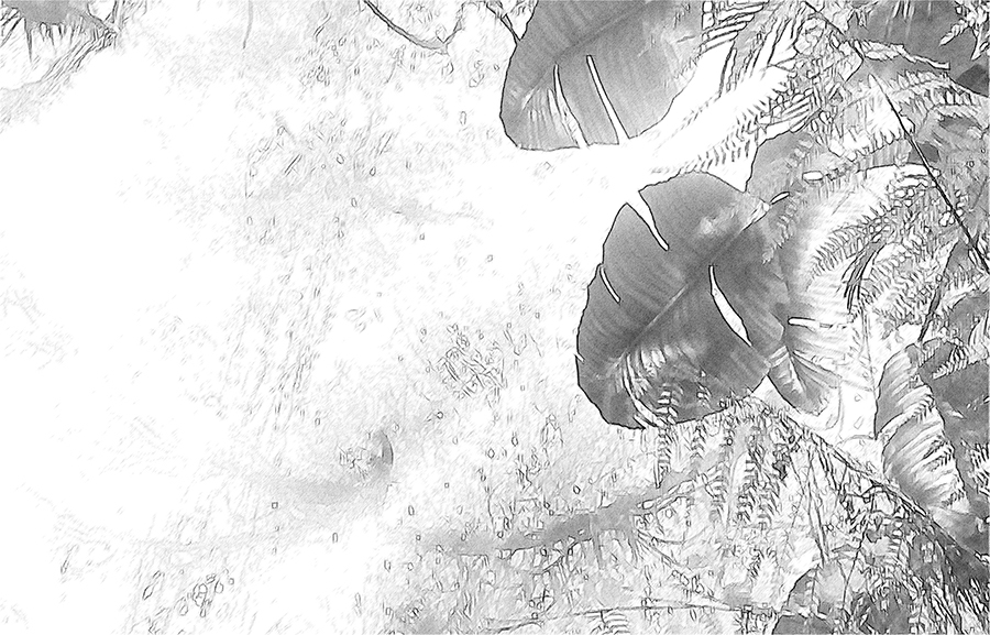 Сумерки эндемиков - _10.jpg