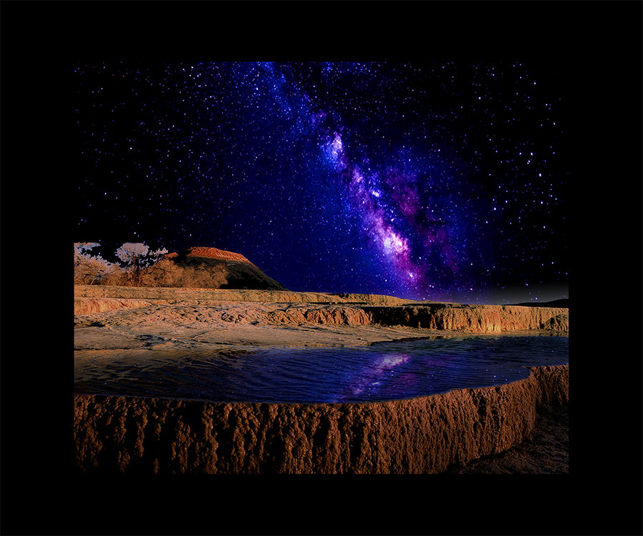 Сумерки эндемиков - _11.jpg