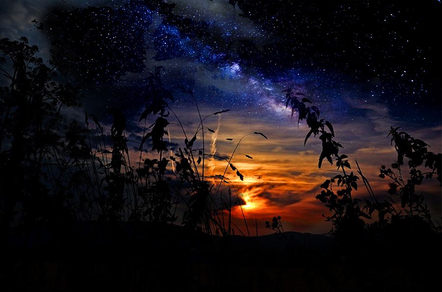 Сумерки эндемиков - _6.jpg