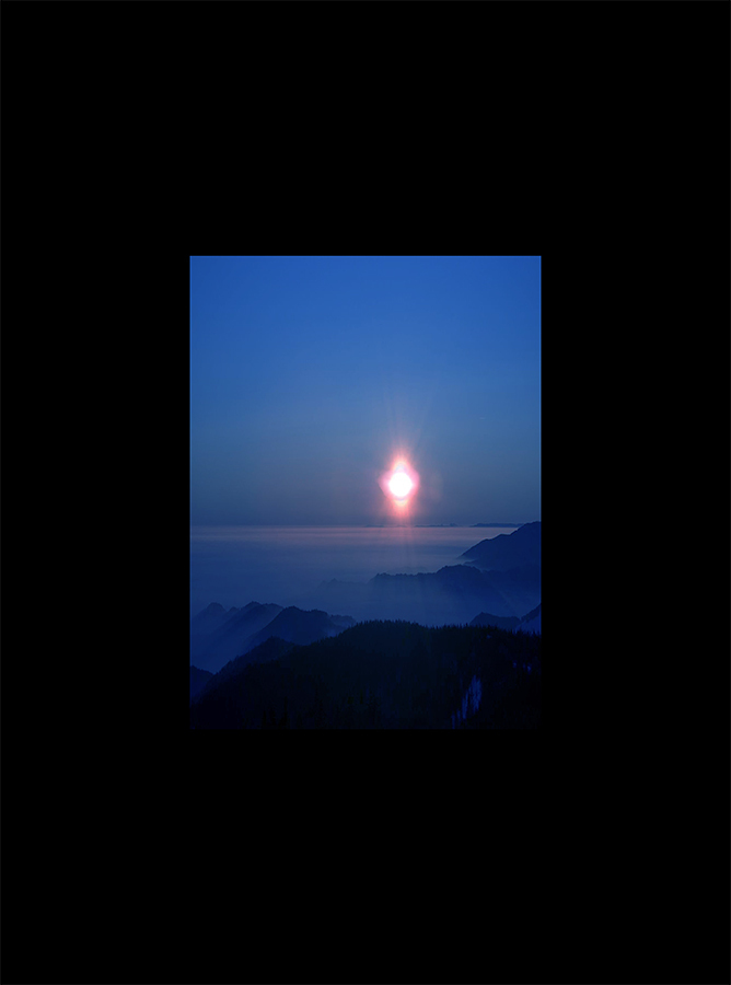 Сумерки эндемиков - _7.jpg