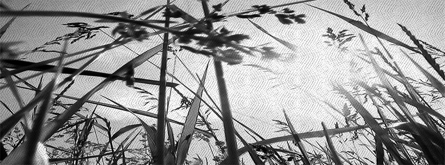 Щепоть зеркального блеска на стакан ночи. Книга вторая - _3.jpg