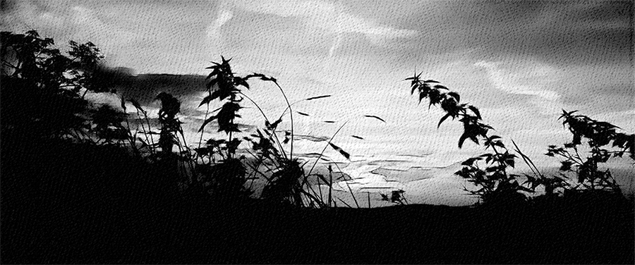 Щепоть зеркального блеска на стакан ночи. Книга вторая - _4.jpg