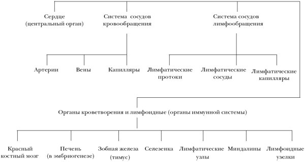 Ветеринарный справочник для владельцев собак - _25.png