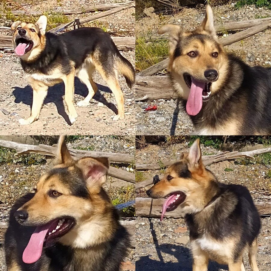 Забери меня домой - _2.jpg