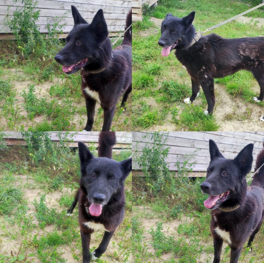 Забери меня домой - _3.jpg