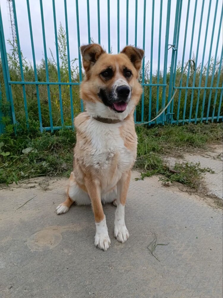 Забери меня домой - _7.jpg