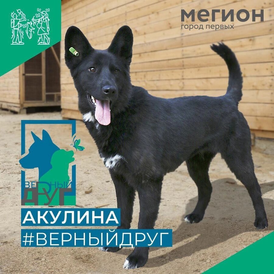 Забери меня домой - _8.jpg