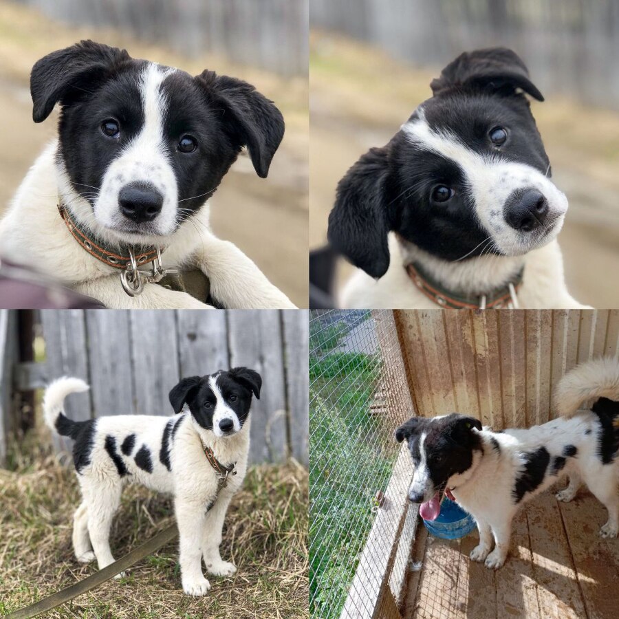 Забери меня домой - _9.jpg