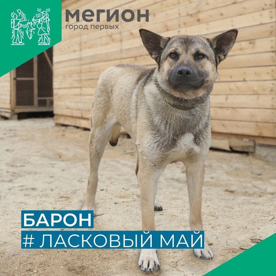 Забери меня домой - _0.jpg