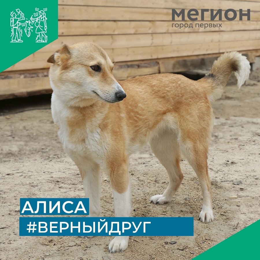 Забери меня домой - _1.jpg