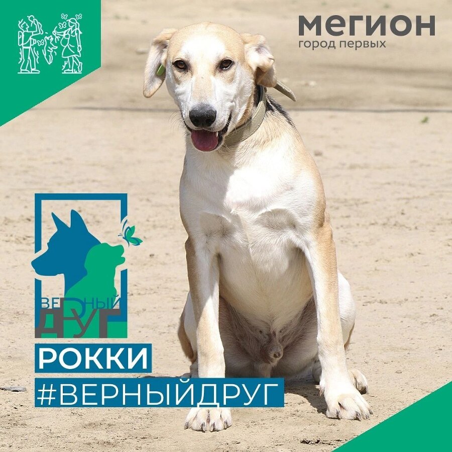 Забери меня домой - _10.jpg