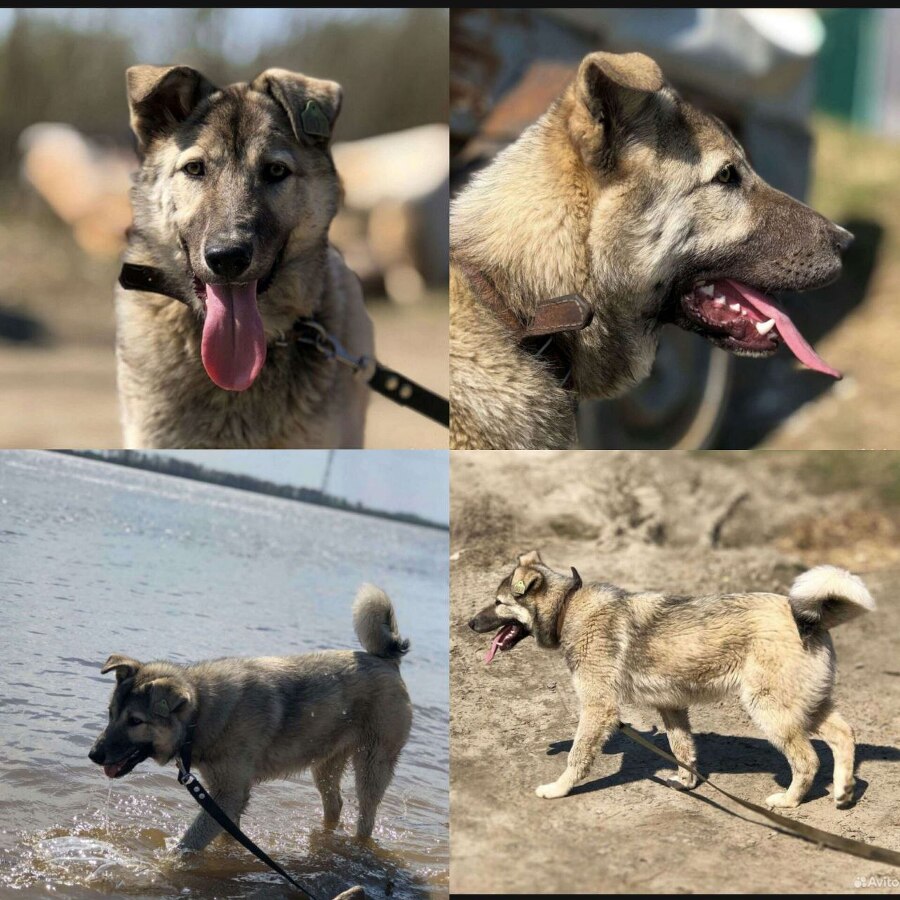 Забери меня домой - _4.jpg