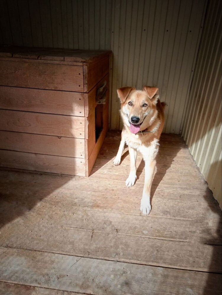 Забери меня домой - _5.jpg