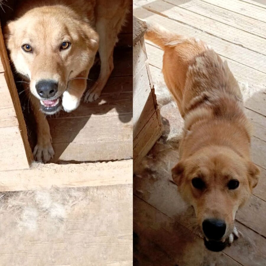 Забери меня домой - _6.jpg