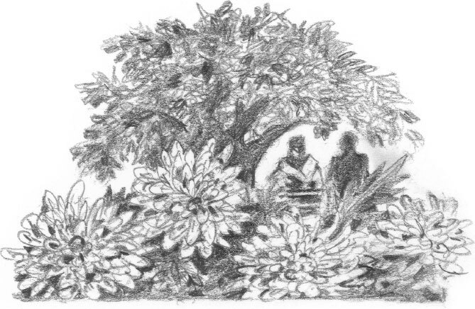 Бесшабашный. Книга 4. По серебряному следу. Дворец из стекла - i_012.jpg