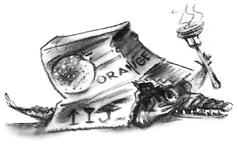 Девочка Соня и крокодил - i_010.jpg