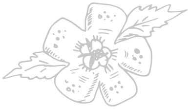 Встретимся вчера - i_004.jpg