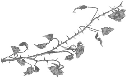 Падшее королевство. Грех в твоей крови - i_003.jpg