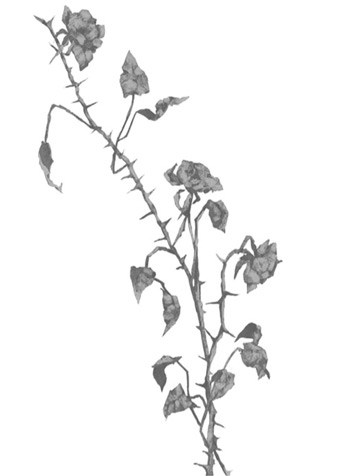 Падшее королевство. Грех в твоей крови - i_009.jpg