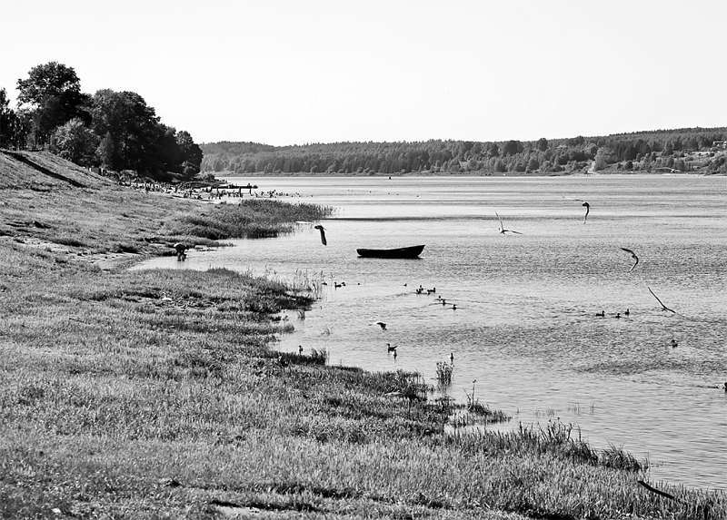 Путешествие по русской кухне от Юлии Евдокимовой - i_051.jpg