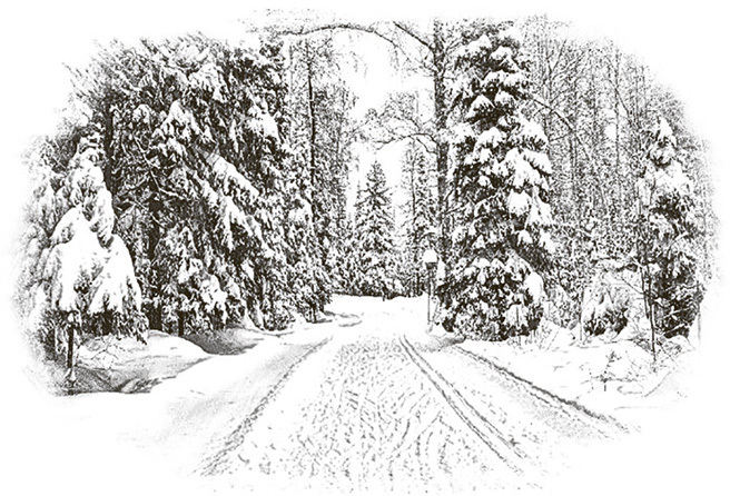 Догоняя мечту. Сборник стихов и песен - i_006.jpg