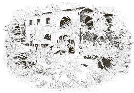 Догоняя мечту. Сборник стихов и песен - i_007.jpg