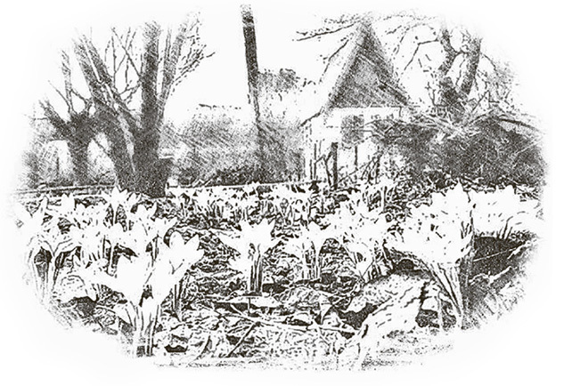 Догоняя мечту. Сборник стихов и песен - i_009.jpg