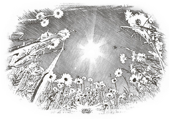 Догоняя мечту. Сборник стихов и песен - i_010.jpg